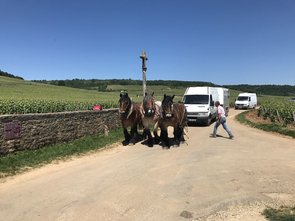 Hotel Abbaye Maiziere