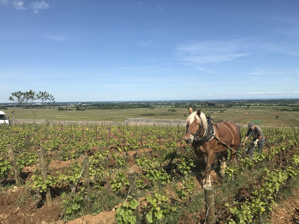 Hotel Abbaye Maiziere
